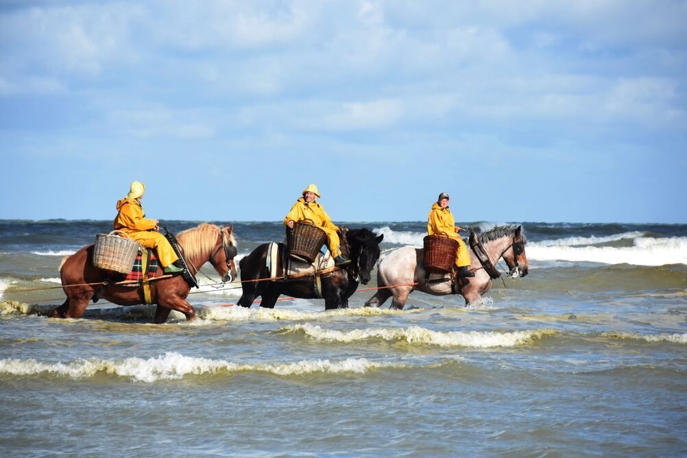 Shrimp Fishermen