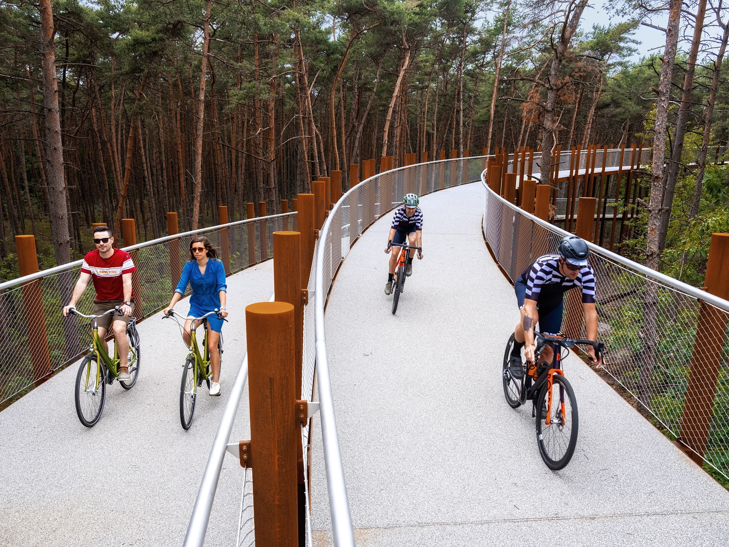 Fietsen door de bomen ©Toerisme Limburg