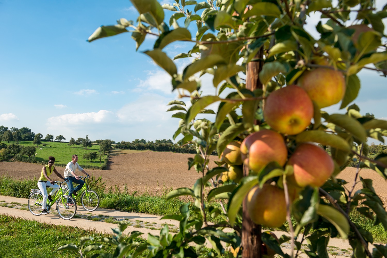 Fruitig fietsen ©Raf Ketelslagers & Ruud Lathouwers - studiovision.be