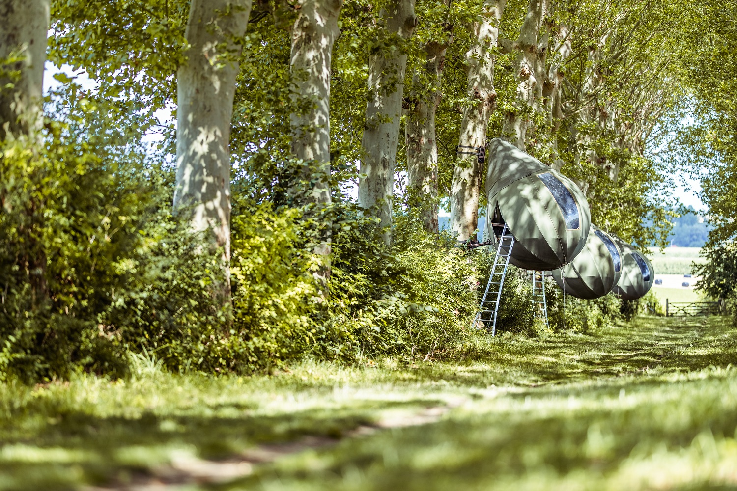 Tranendreef ©Patrick Vande Ven - Medialounge