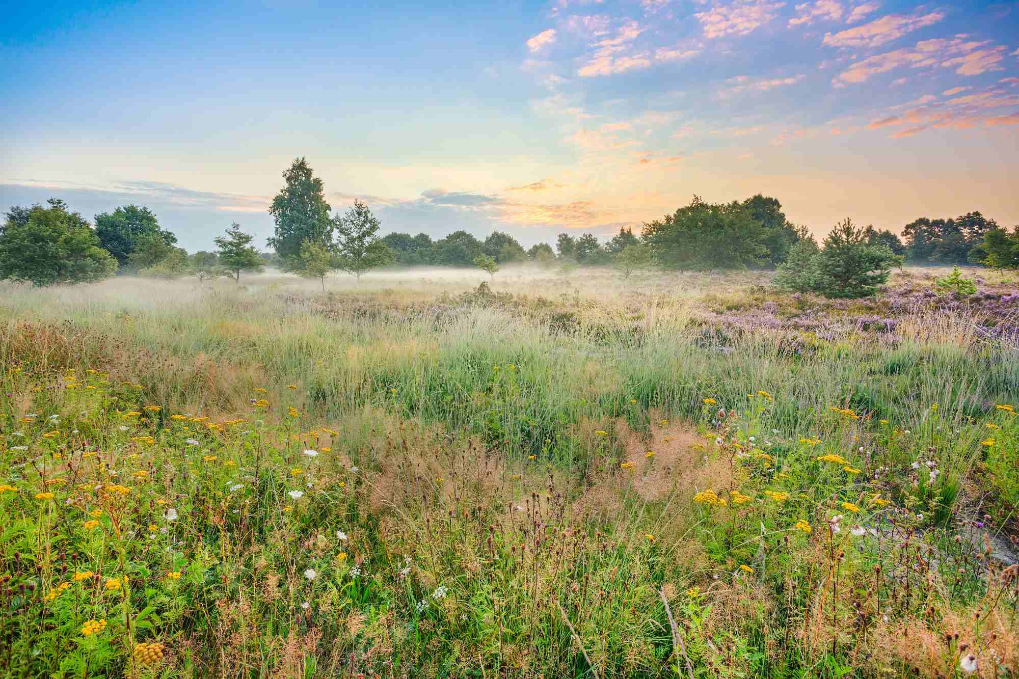 Nationaal_Park_Hoge_Kempen © Peter Baas