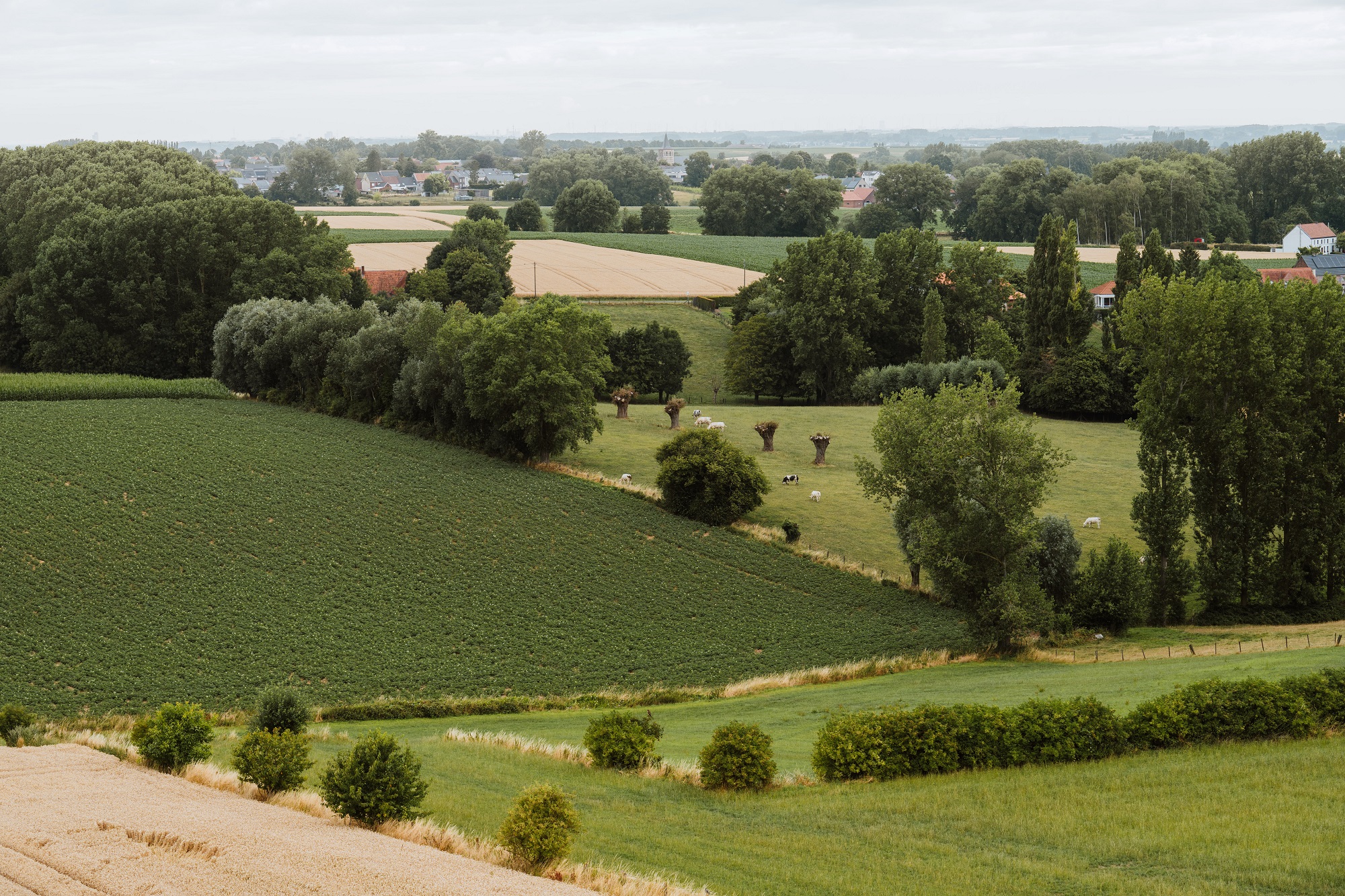 Vlaamse Ardennen - Bjorn Snelders