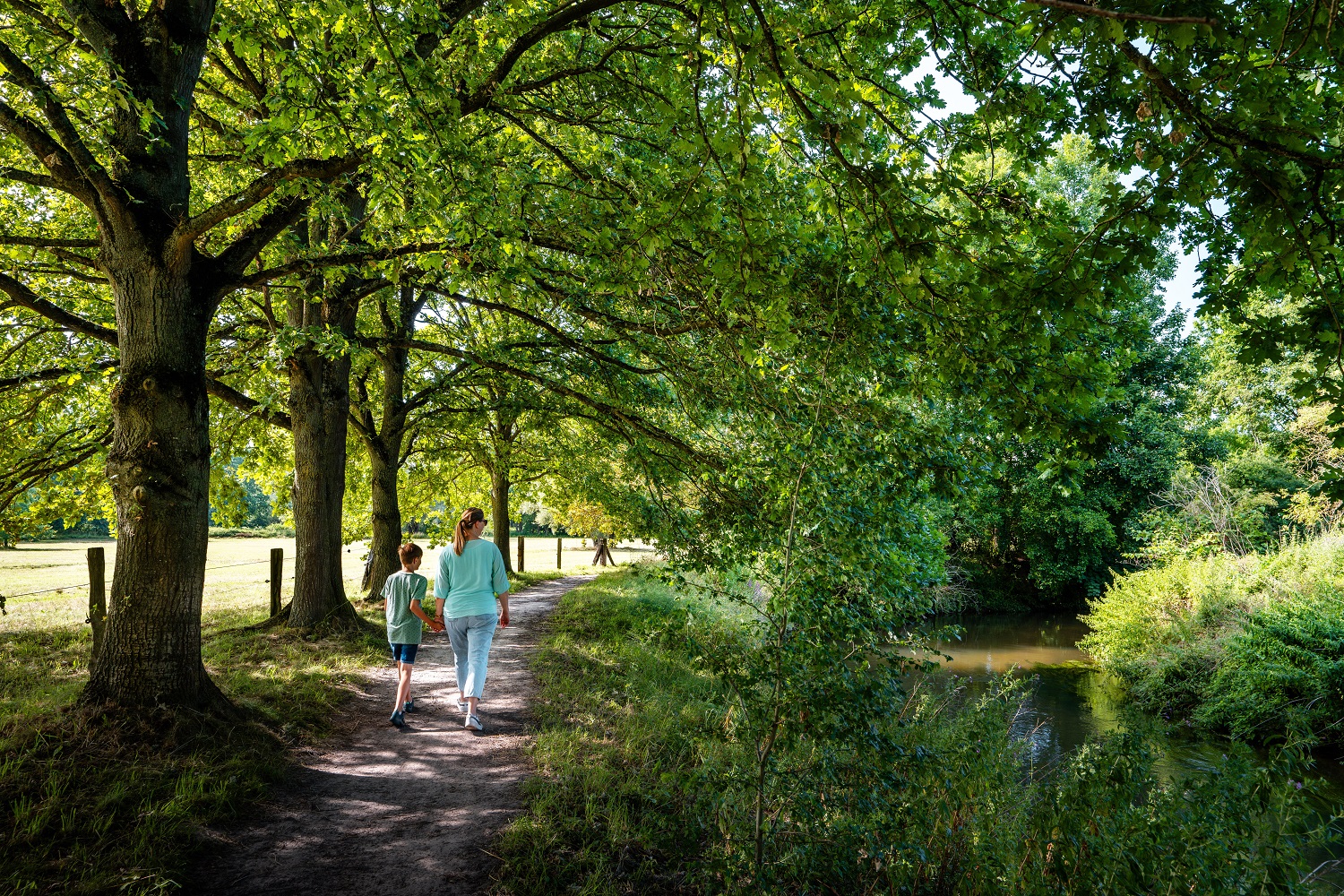 Brabantse Wouden - De Doode Bemde