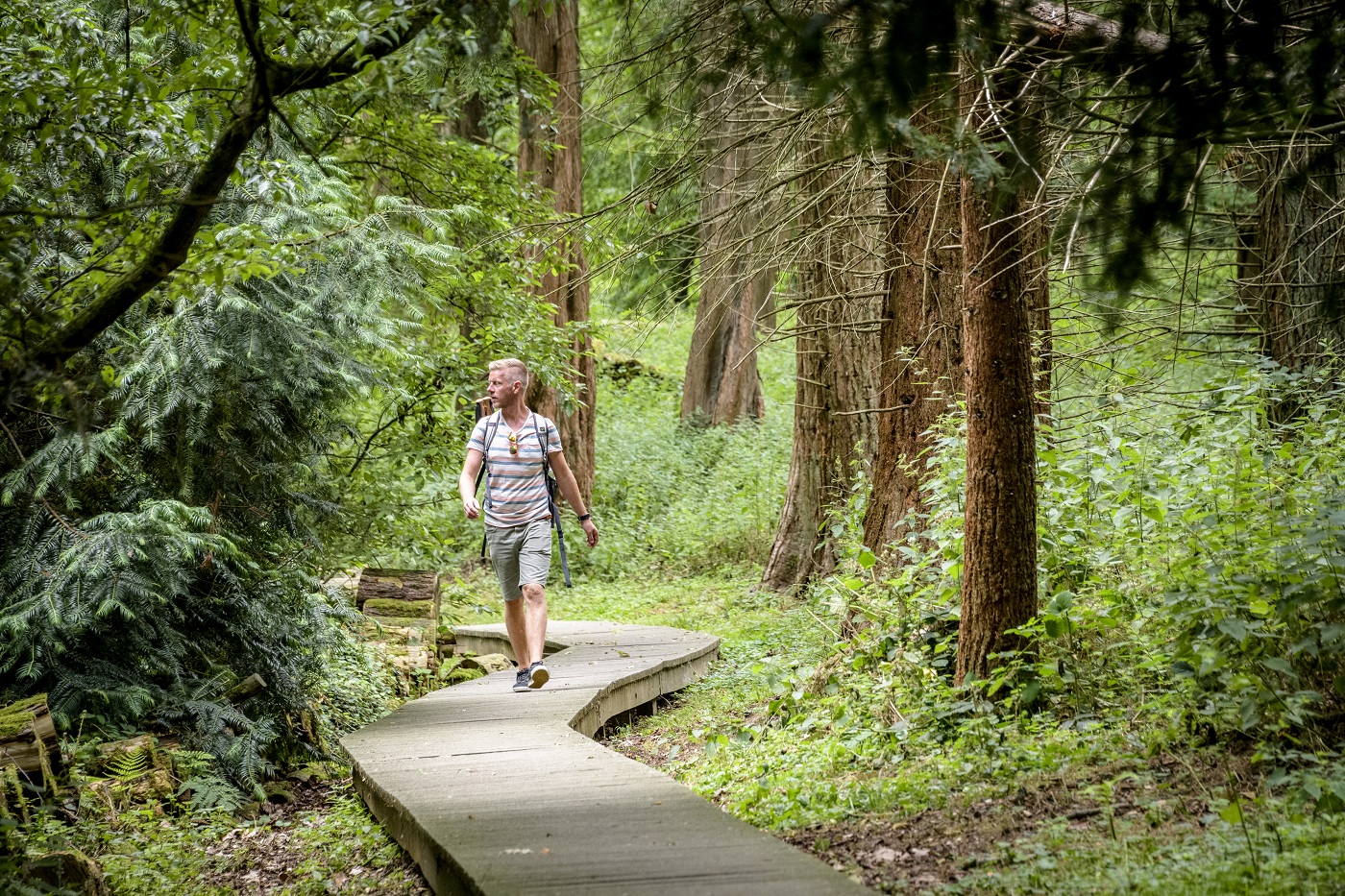 Arboretum van Groenendaal