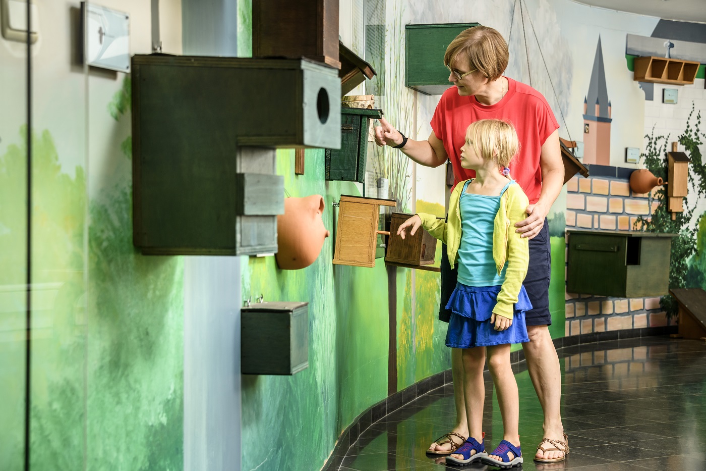 Er valt heel wat te ontdekken in het Bosmuseum Jan Van Ruusbroec