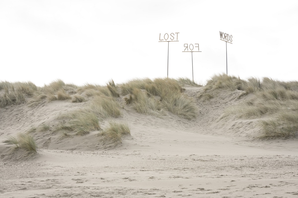 Driton Selmani - Lost For Words - Beaufort 24 - Blankenberge