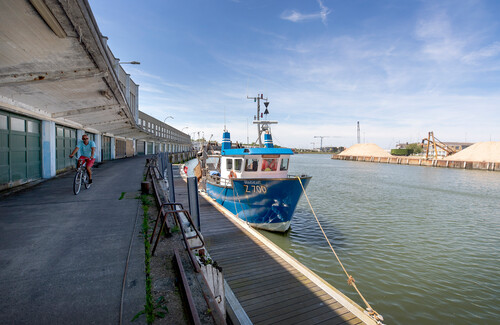 Il mercato del pesce a Nieuwpoort