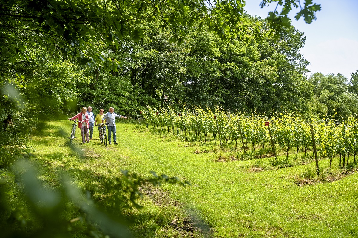 Wijndomein Haksberg